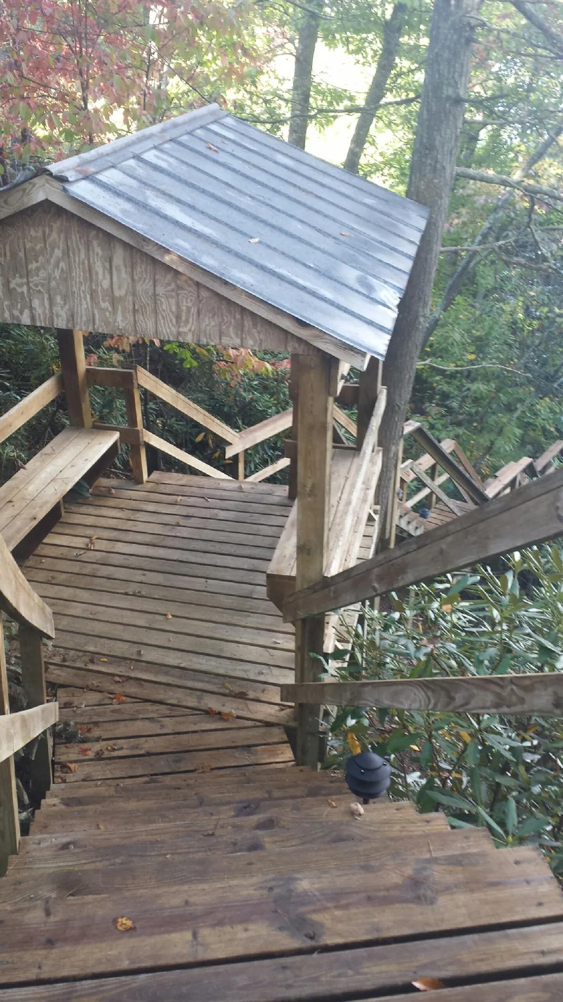 Metal roofed shelter over wooden steps on a wooded walkway — Skylight Repair & Installation work by our crew in Hanford